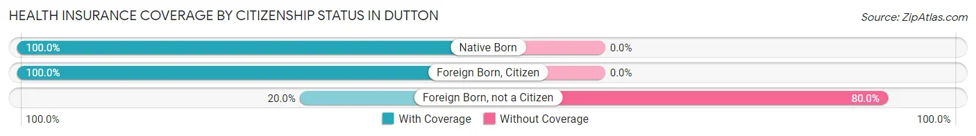 Health Insurance Coverage by Citizenship Status in Dutton