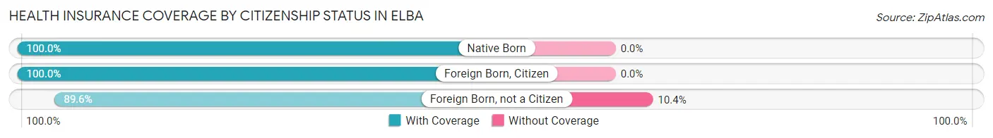 Health Insurance Coverage by Citizenship Status in Elba