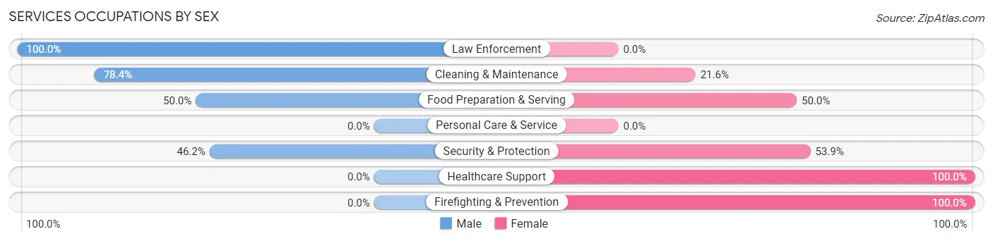 Services Occupations by Sex in Elba