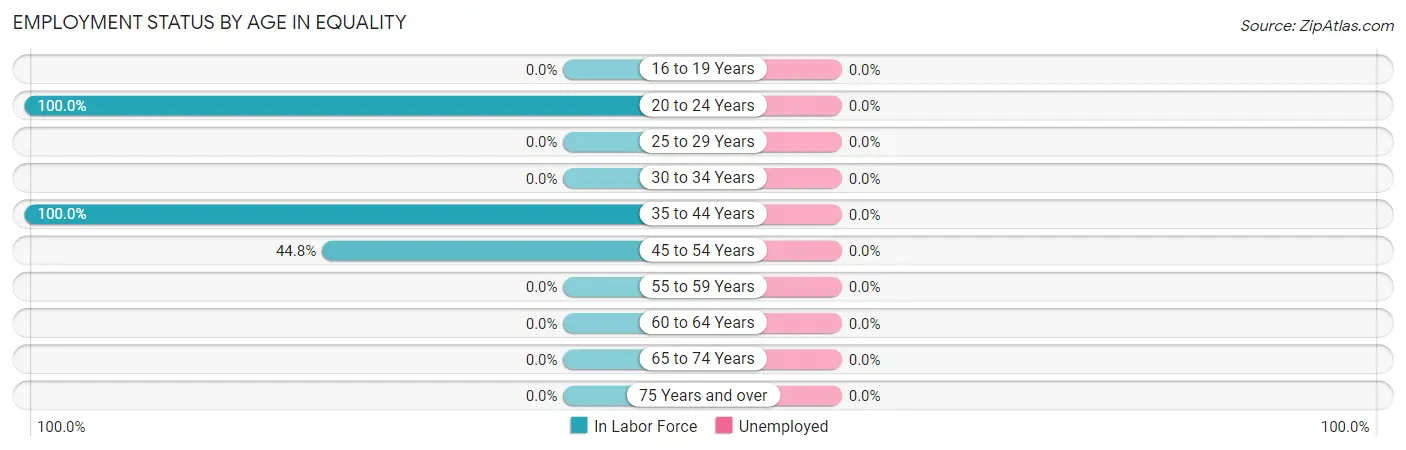 Employment Status by Age in Equality