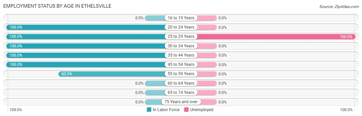 Employment Status by Age in Ethelsville