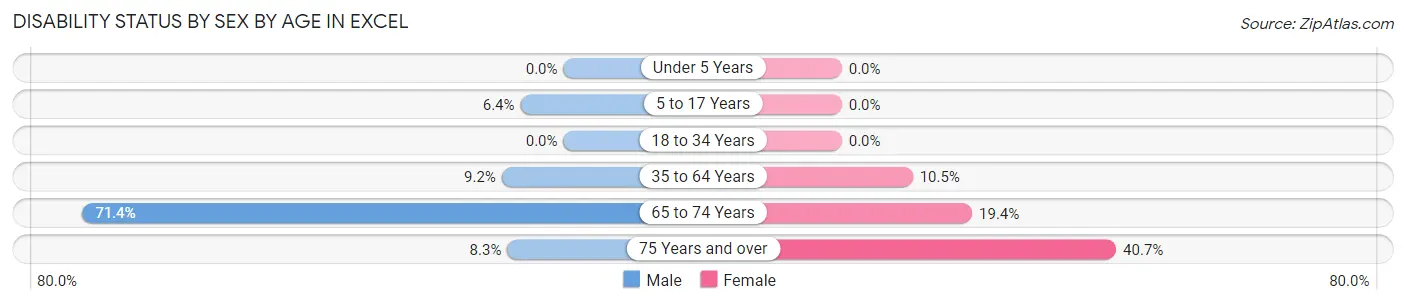 Disability Status by Sex by Age in Excel
