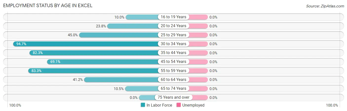 Employment Status by Age in Excel
