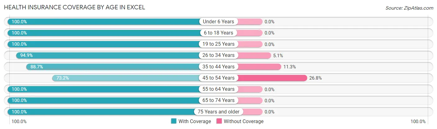 Health Insurance Coverage by Age in Excel