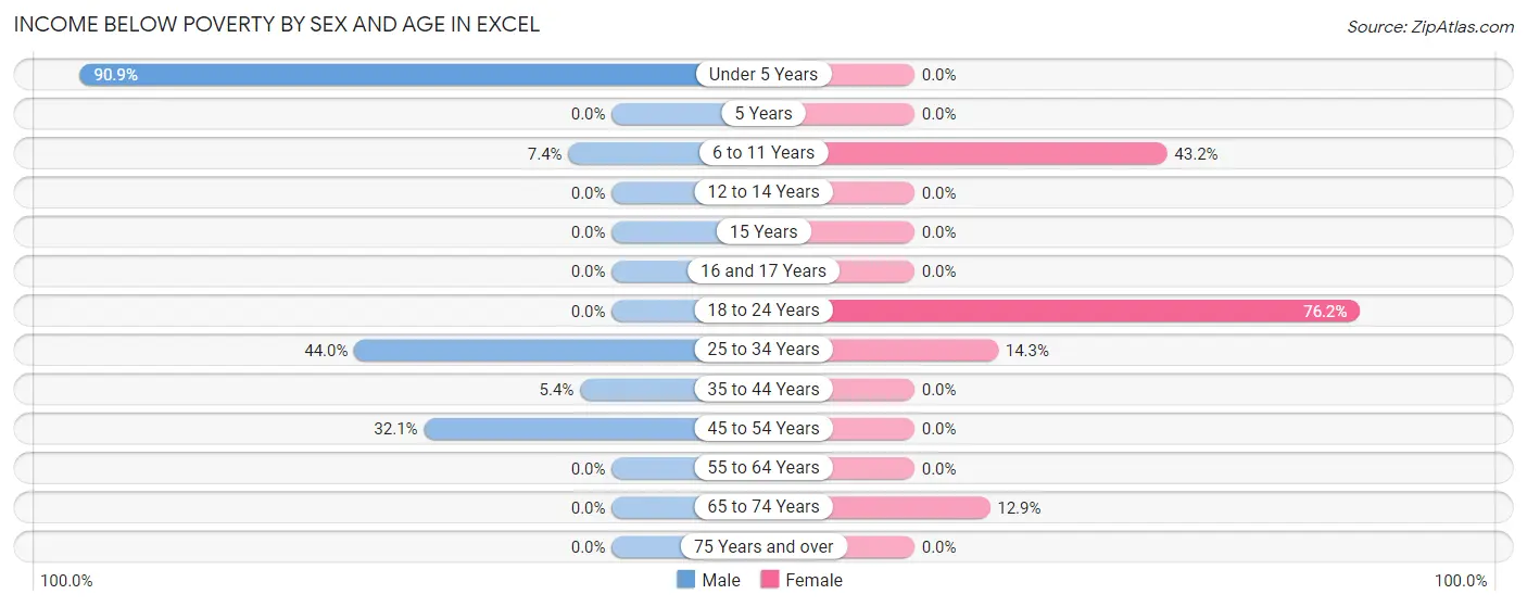 Income Below Poverty by Sex and Age in Excel