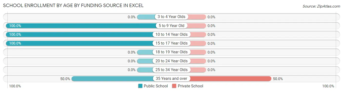 School Enrollment by Age by Funding Source in Excel