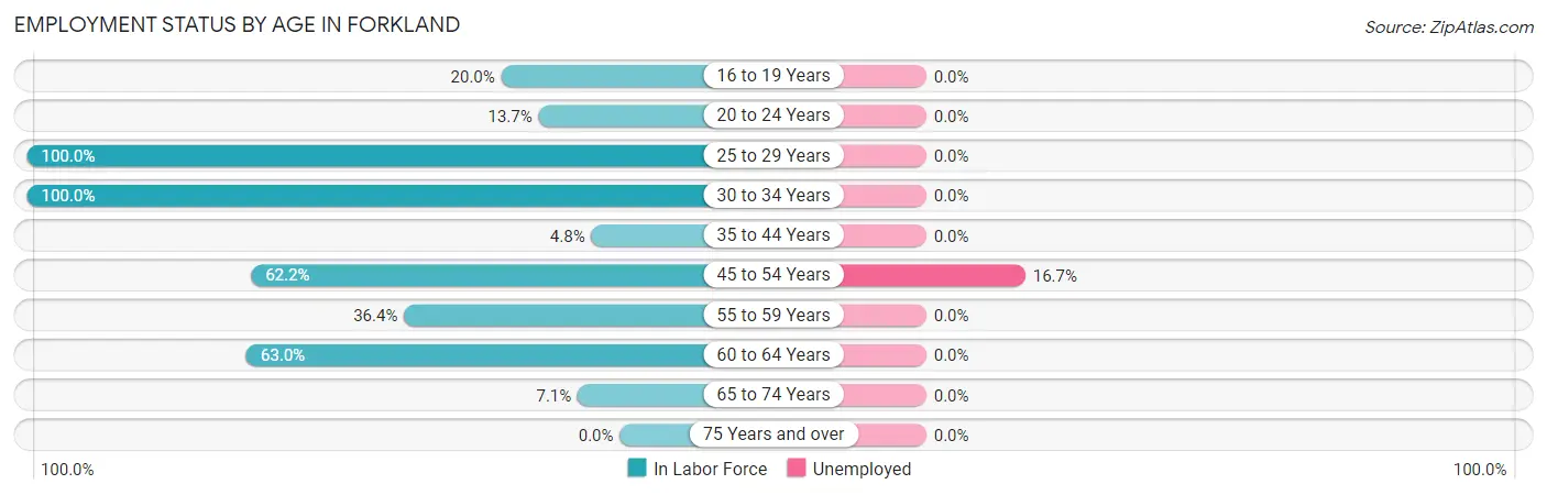 Employment Status by Age in Forkland