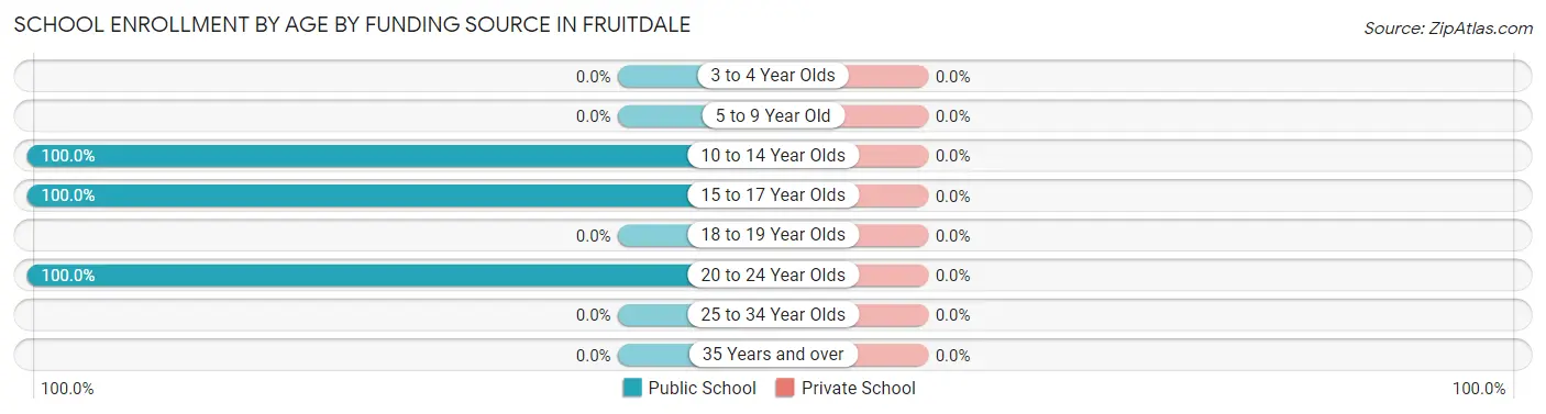 School Enrollment by Age by Funding Source in Fruitdale
