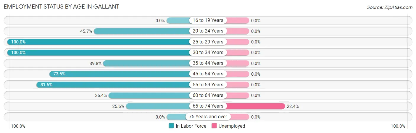 Employment Status by Age in Gallant