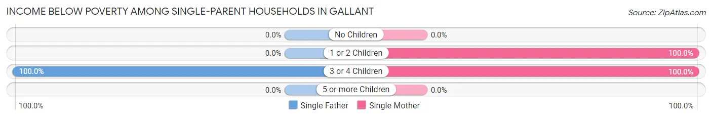 Income Below Poverty Among Single-Parent Households in Gallant