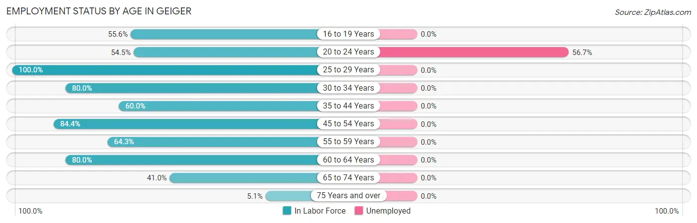 Employment Status by Age in Geiger