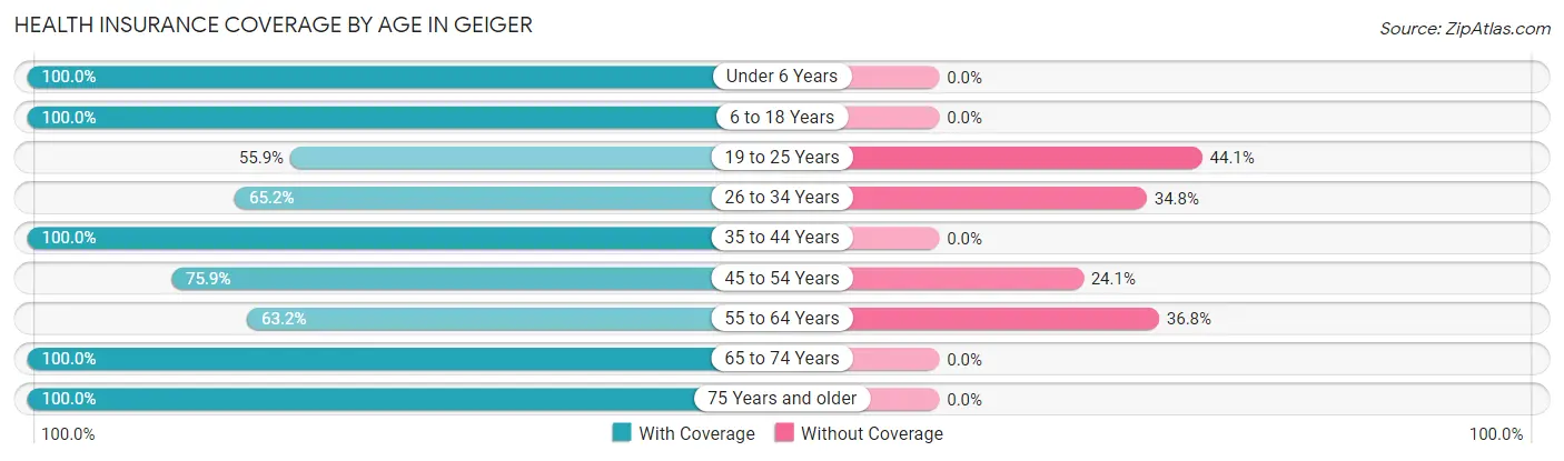 Health Insurance Coverage by Age in Geiger
