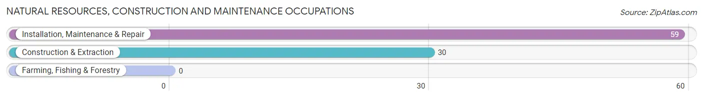 Natural Resources, Construction and Maintenance Occupations in Geneva