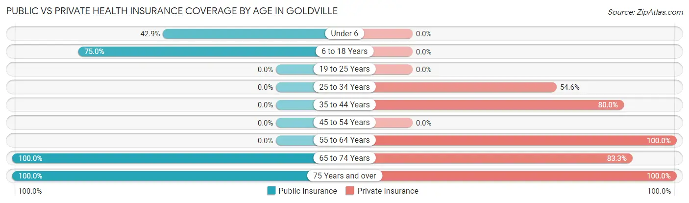 Public vs Private Health Insurance Coverage by Age in Goldville