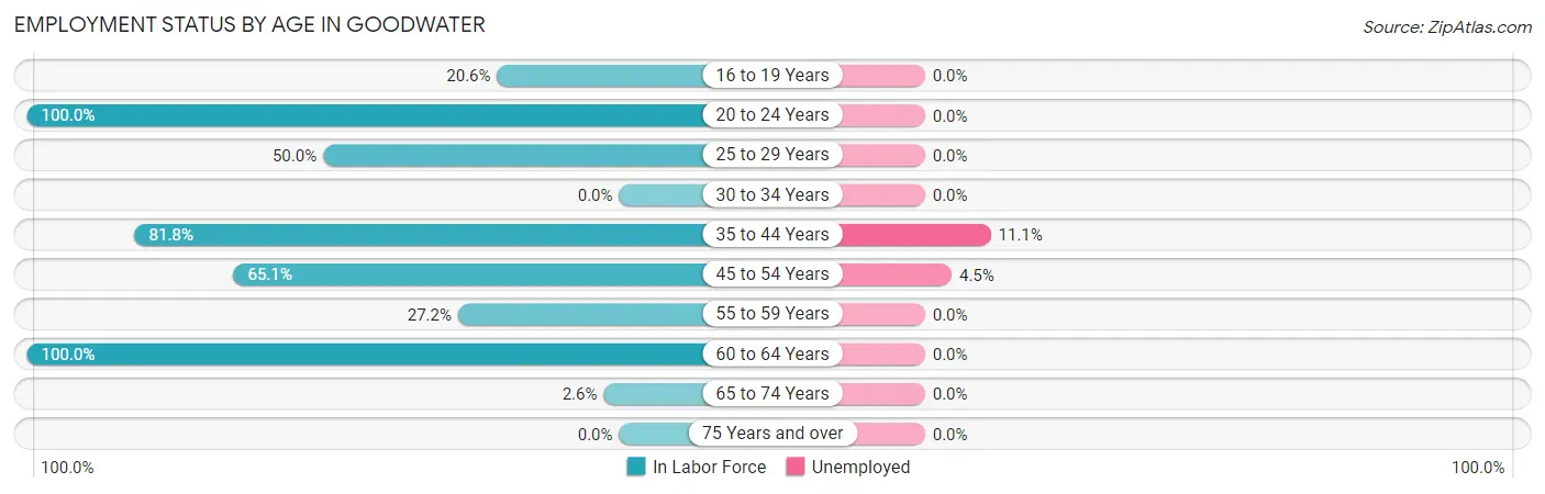 Employment Status by Age in Goodwater