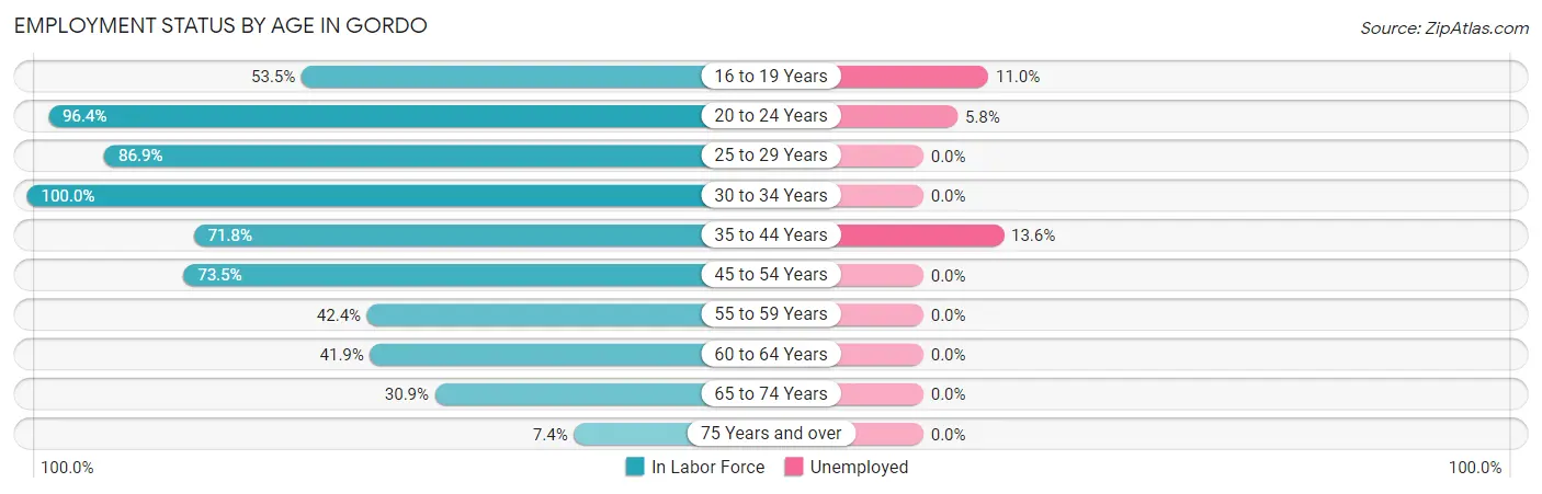 Employment Status by Age in Gordo