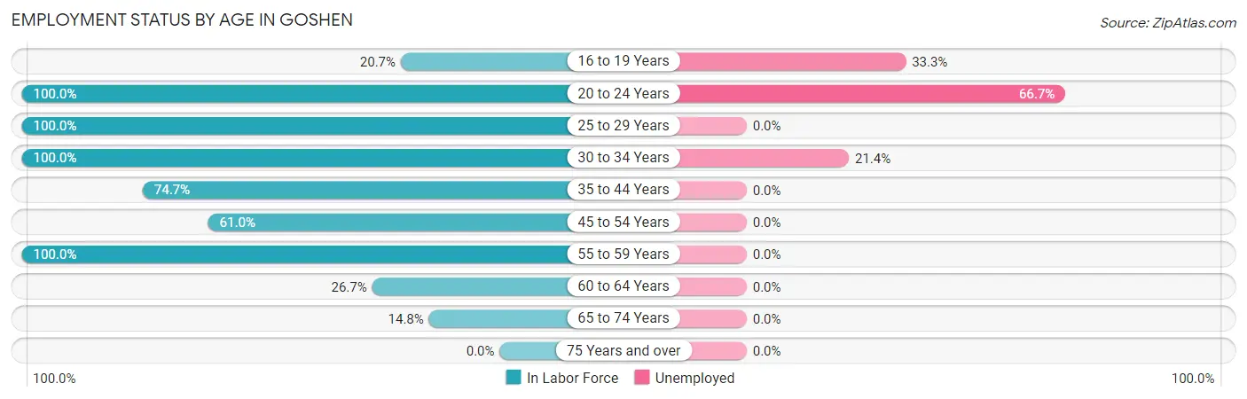 Employment Status by Age in Goshen