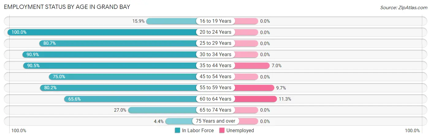 Employment Status by Age in Grand Bay
