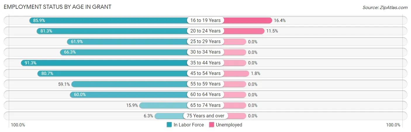 Employment Status by Age in Grant