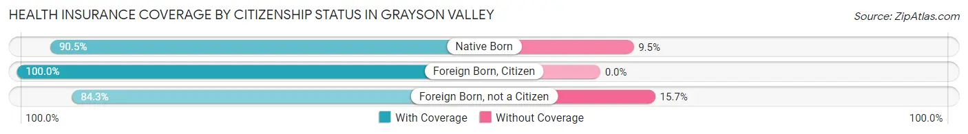 Health Insurance Coverage by Citizenship Status in Grayson Valley