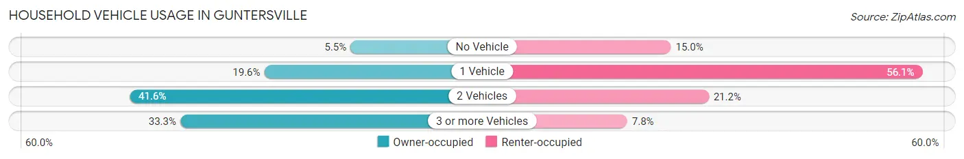 Household Vehicle Usage in Guntersville