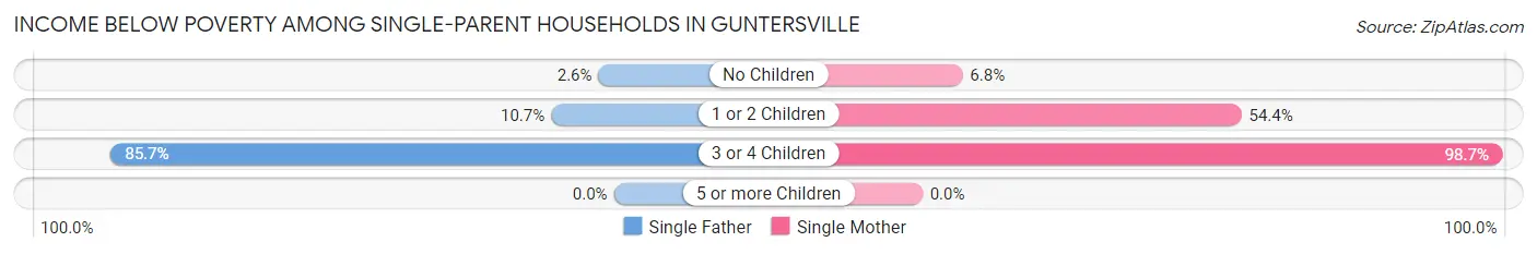 Income Below Poverty Among Single-Parent Households in Guntersville