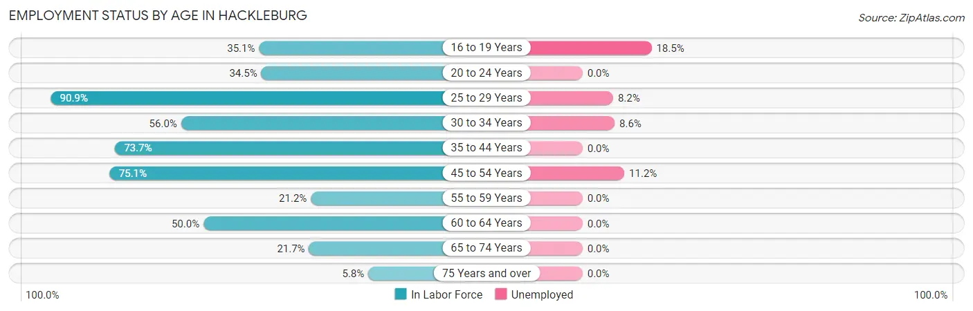 Employment Status by Age in Hackleburg