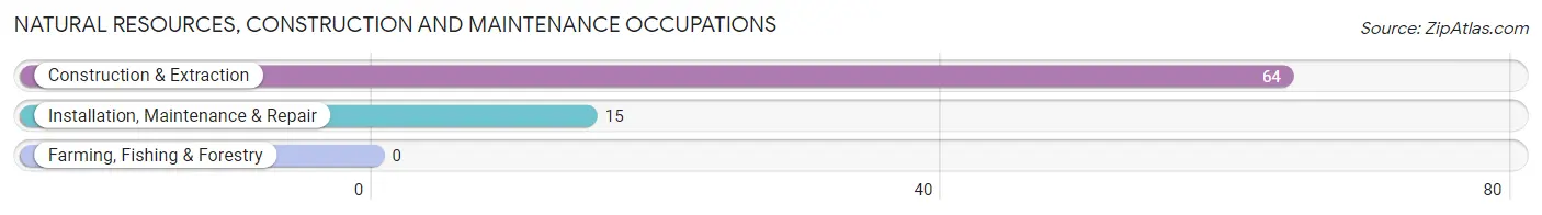 Natural Resources, Construction and Maintenance Occupations in Hayden