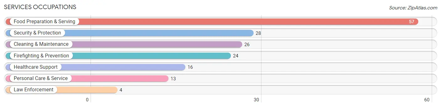 Services Occupations in Hayden