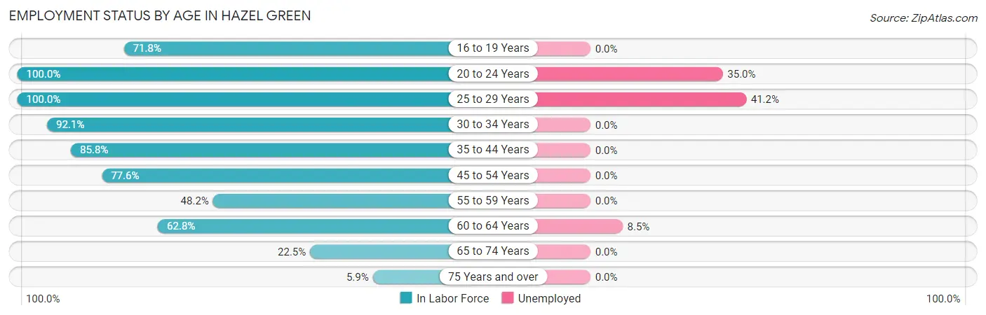 Employment Status by Age in Hazel Green