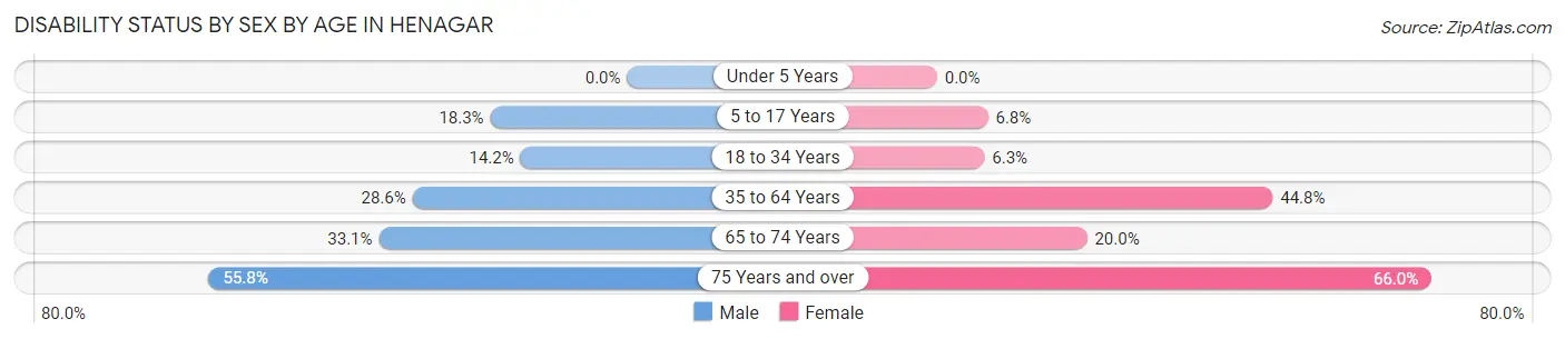 Disability Status by Sex by Age in Henagar