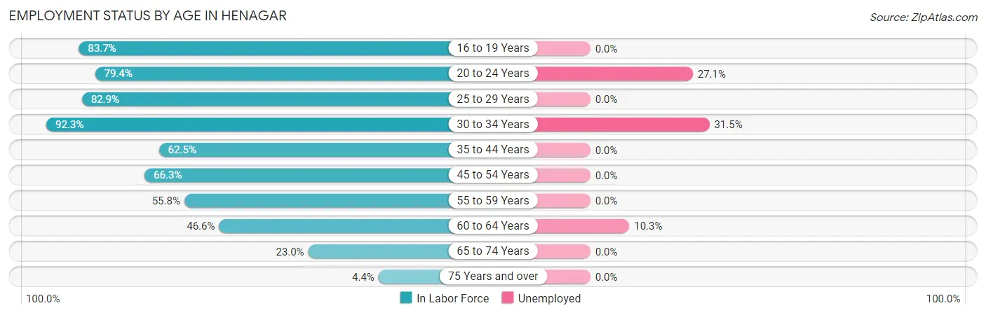Employment Status by Age in Henagar