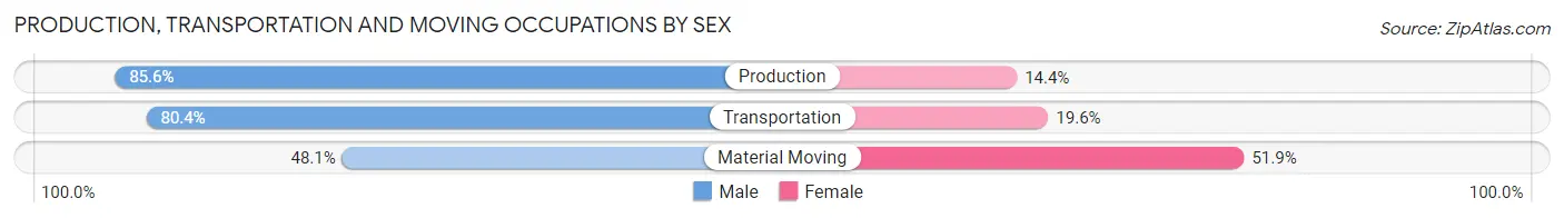 Production, Transportation and Moving Occupations by Sex in Henagar