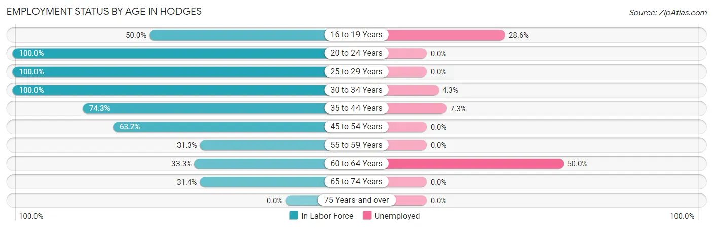 Employment Status by Age in Hodges