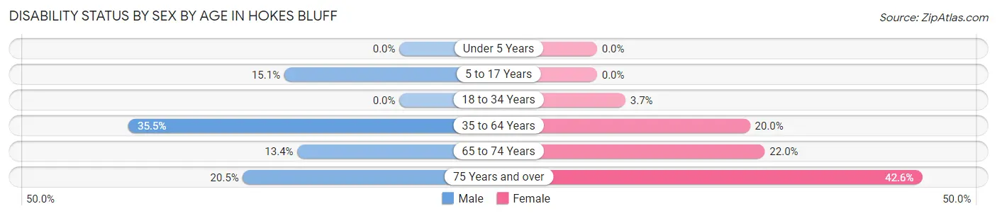 Disability Status by Sex by Age in Hokes Bluff