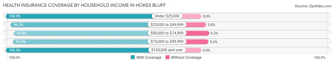 Health Insurance Coverage by Household Income in Hokes Bluff