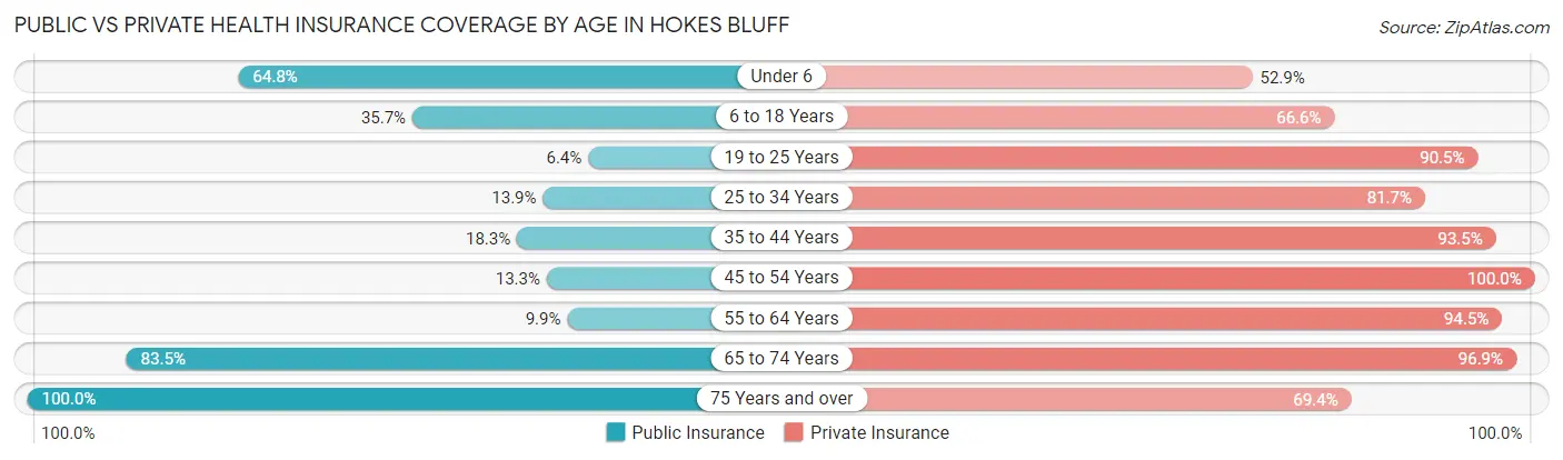 Public vs Private Health Insurance Coverage by Age in Hokes Bluff