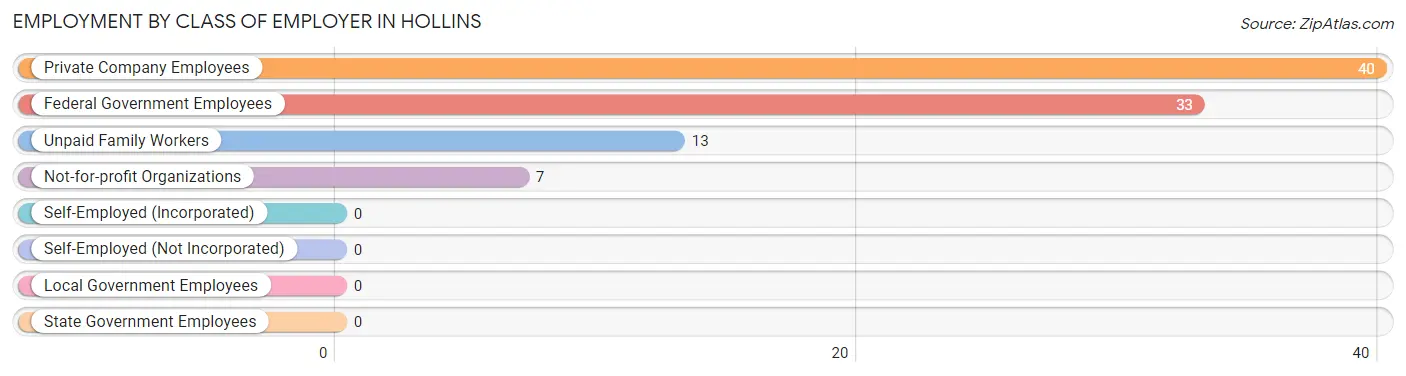 Employment by Class of Employer in Hollins