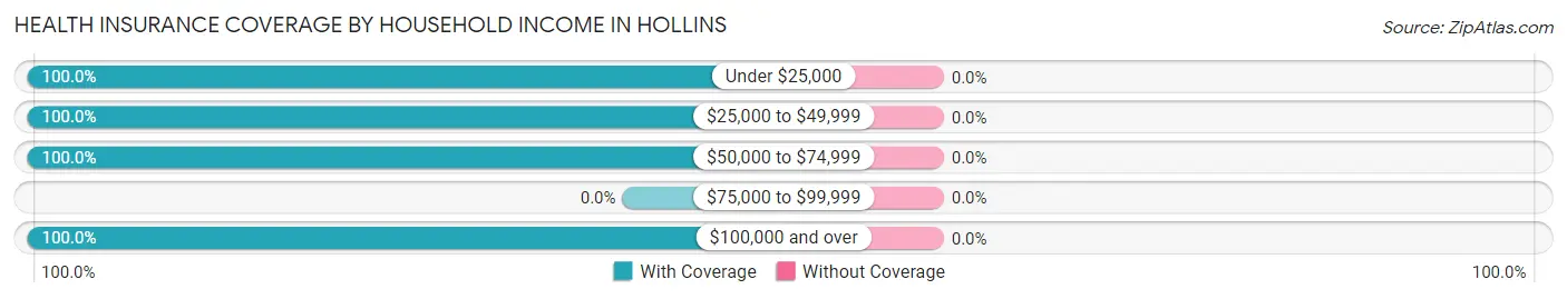 Health Insurance Coverage by Household Income in Hollins