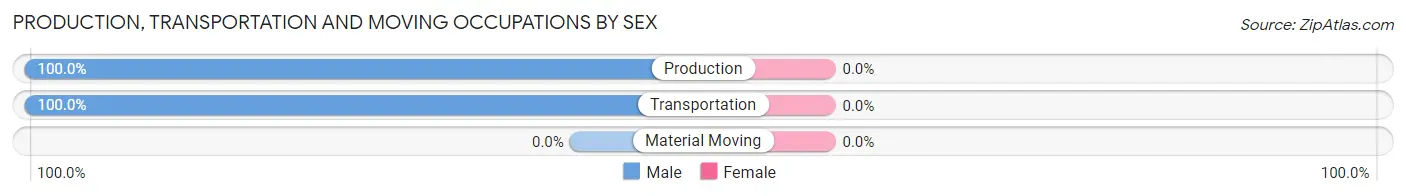 Production, Transportation and Moving Occupations by Sex in Hollins