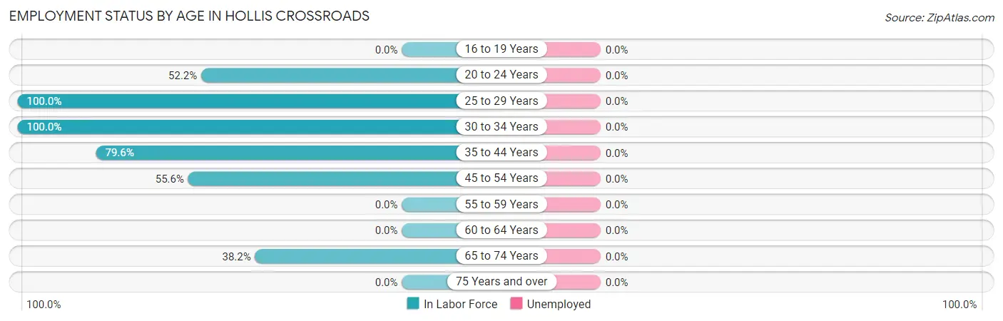 Employment Status by Age in Hollis Crossroads