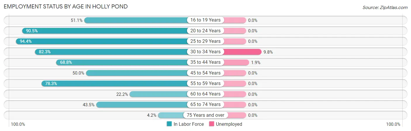 Employment Status by Age in Holly Pond
