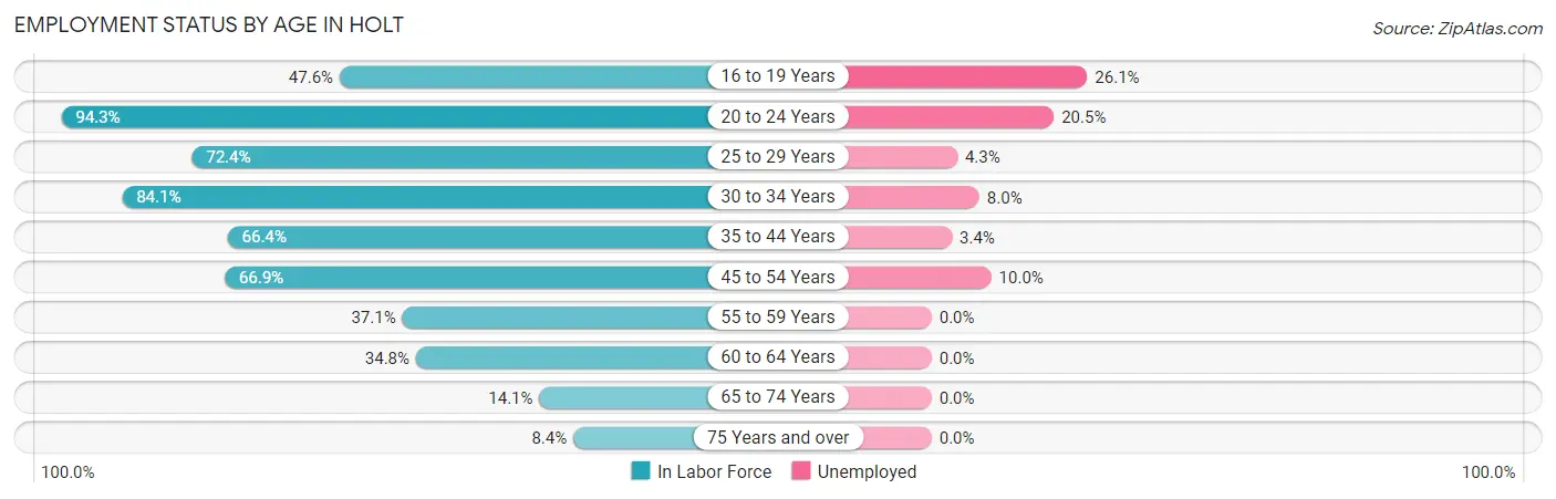 Employment Status by Age in Holt