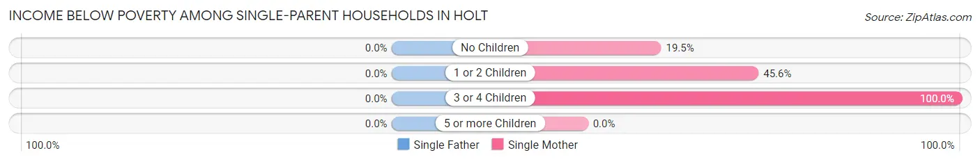 Income Below Poverty Among Single-Parent Households in Holt