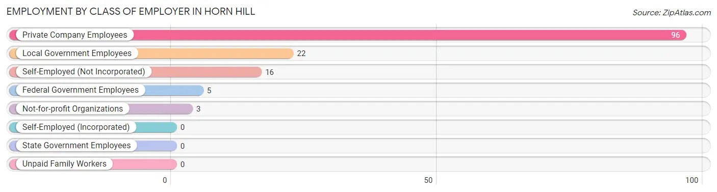 Employment by Class of Employer in Horn Hill