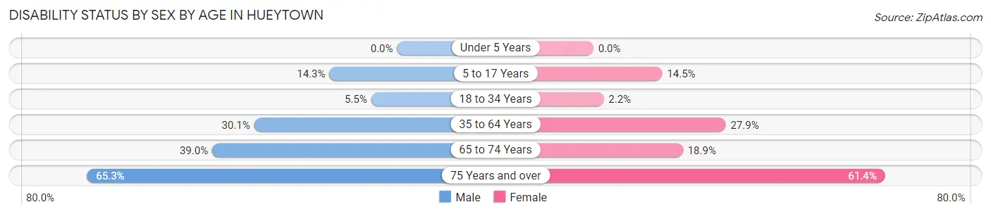 Disability Status by Sex by Age in Hueytown