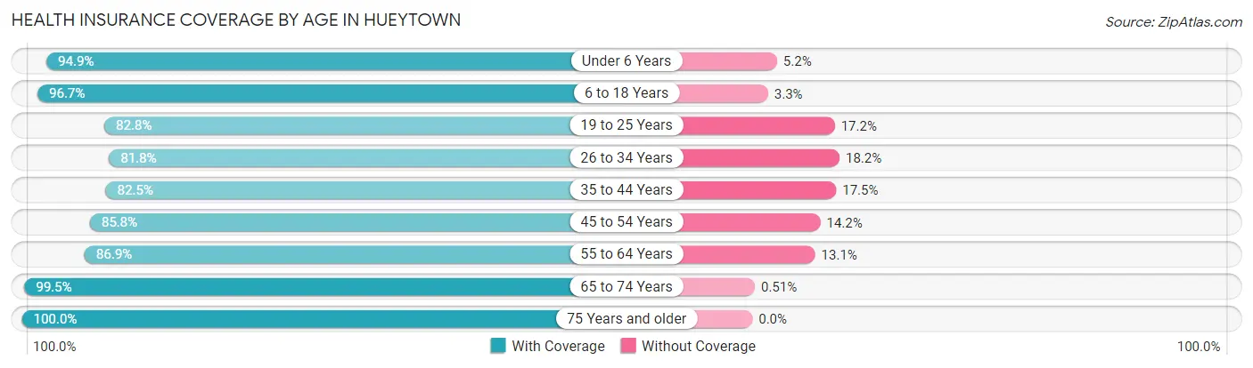 Health Insurance Coverage by Age in Hueytown