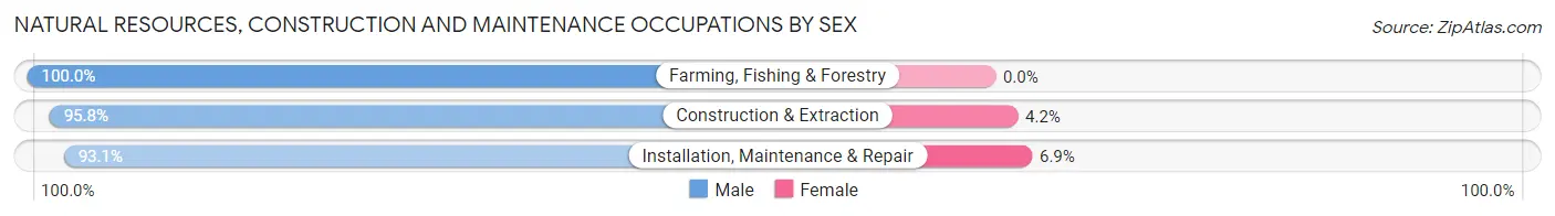 Natural Resources, Construction and Maintenance Occupations by Sex in Huntsville