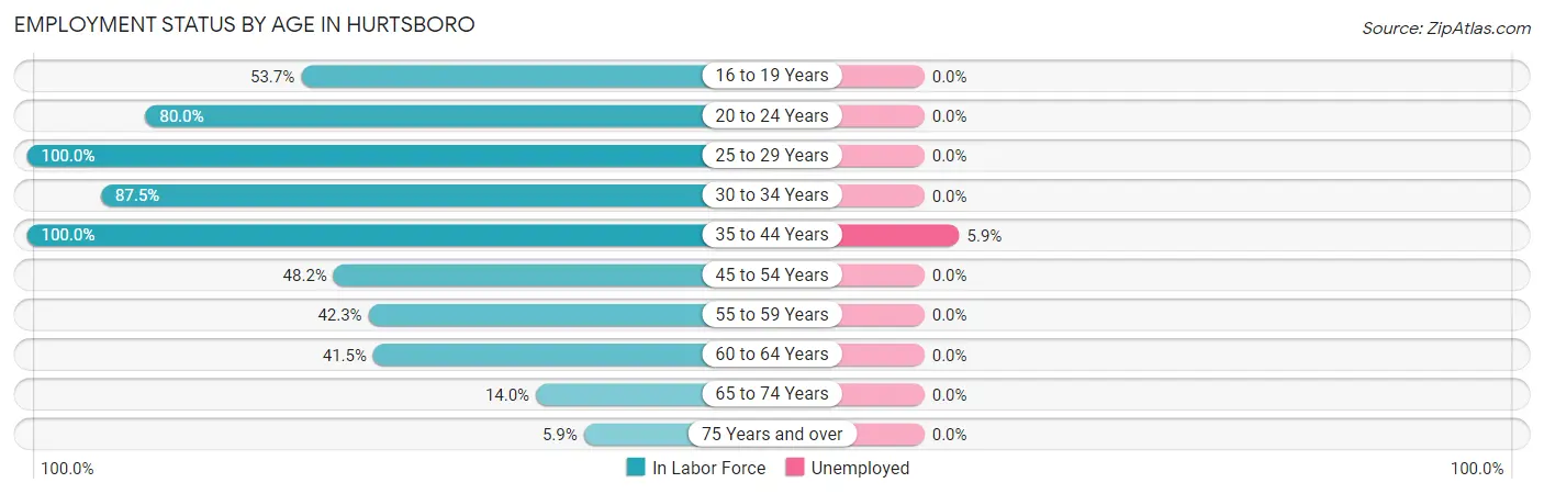 Employment Status by Age in Hurtsboro