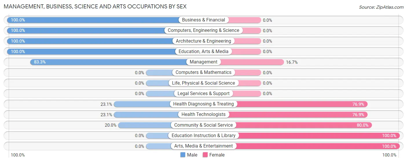 Management, Business, Science and Arts Occupations by Sex in Ider